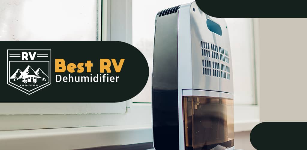 Best Dehumidifier For RV