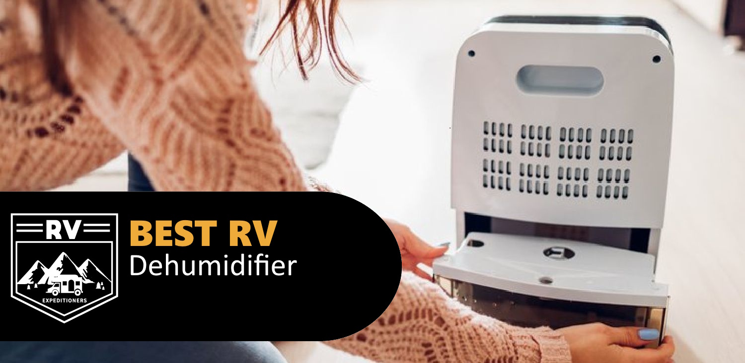 Best Dehumidifier for RV