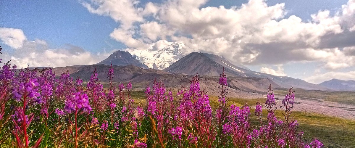 Wrangell-St. Elias National Park and Preserve